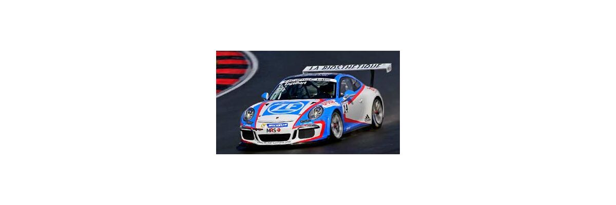 Porsche 911 GT3 vs Carrera Cup - Porsche 911 GT3 vs. 911  GT3 Cup | sachsperformance.com